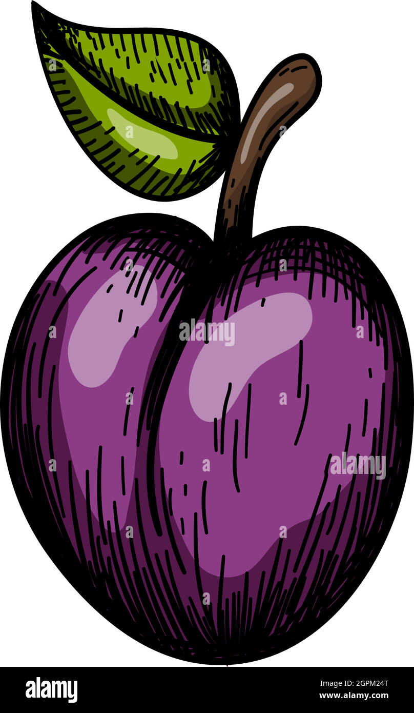 Icon Of Plum Stock Vector