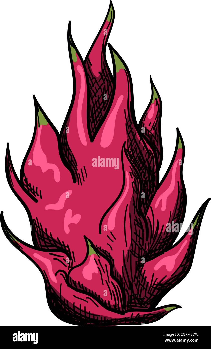 Icon Of Dragon Fruit Stock Vector