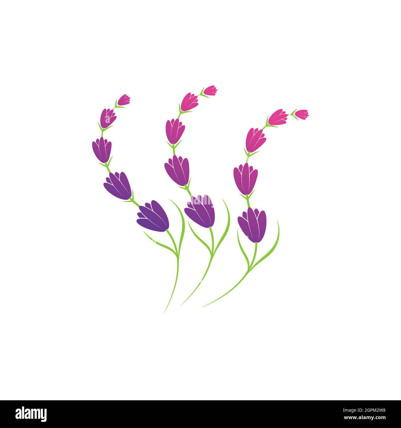 Lavender flower logo symbol template Stock Vector