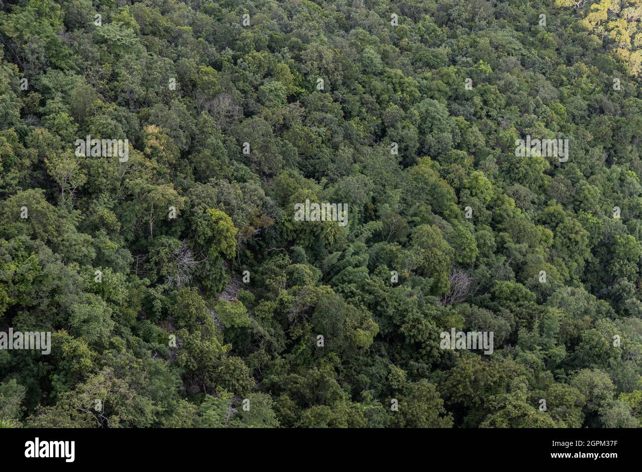 Aerial top view spring mixed hi-res stock photography and images - Alamy