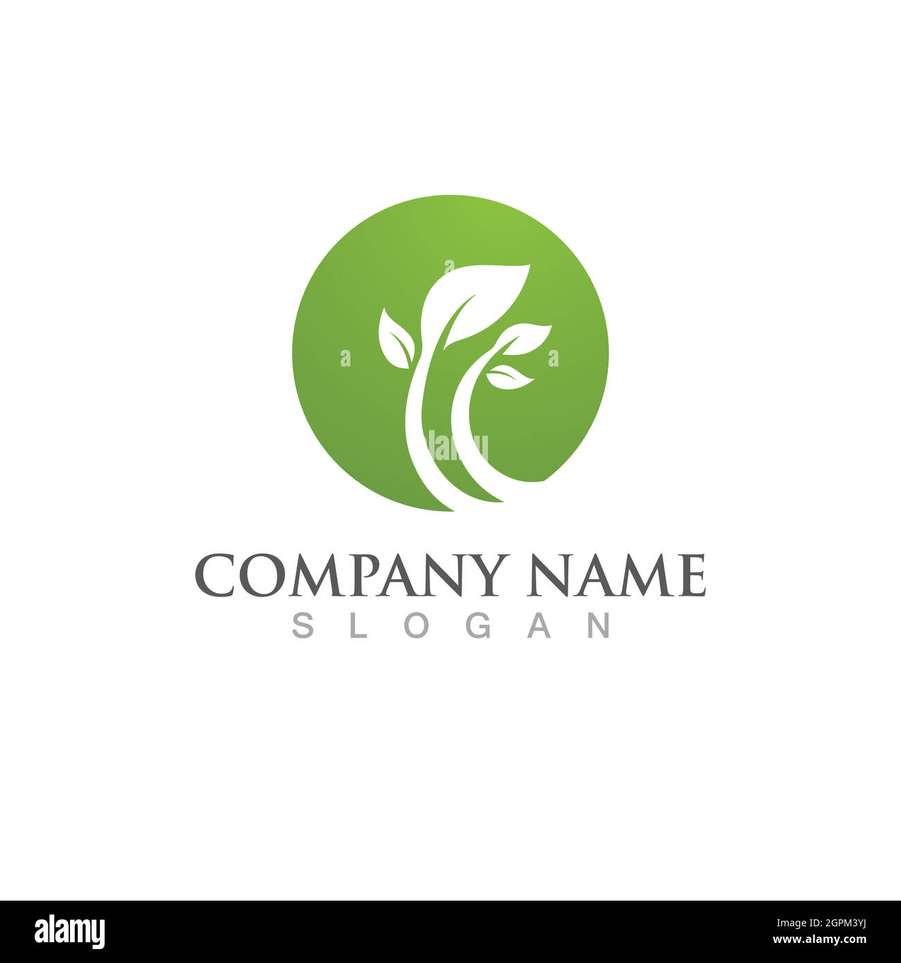 Logos of green Tree leaf ecology Stock Vector