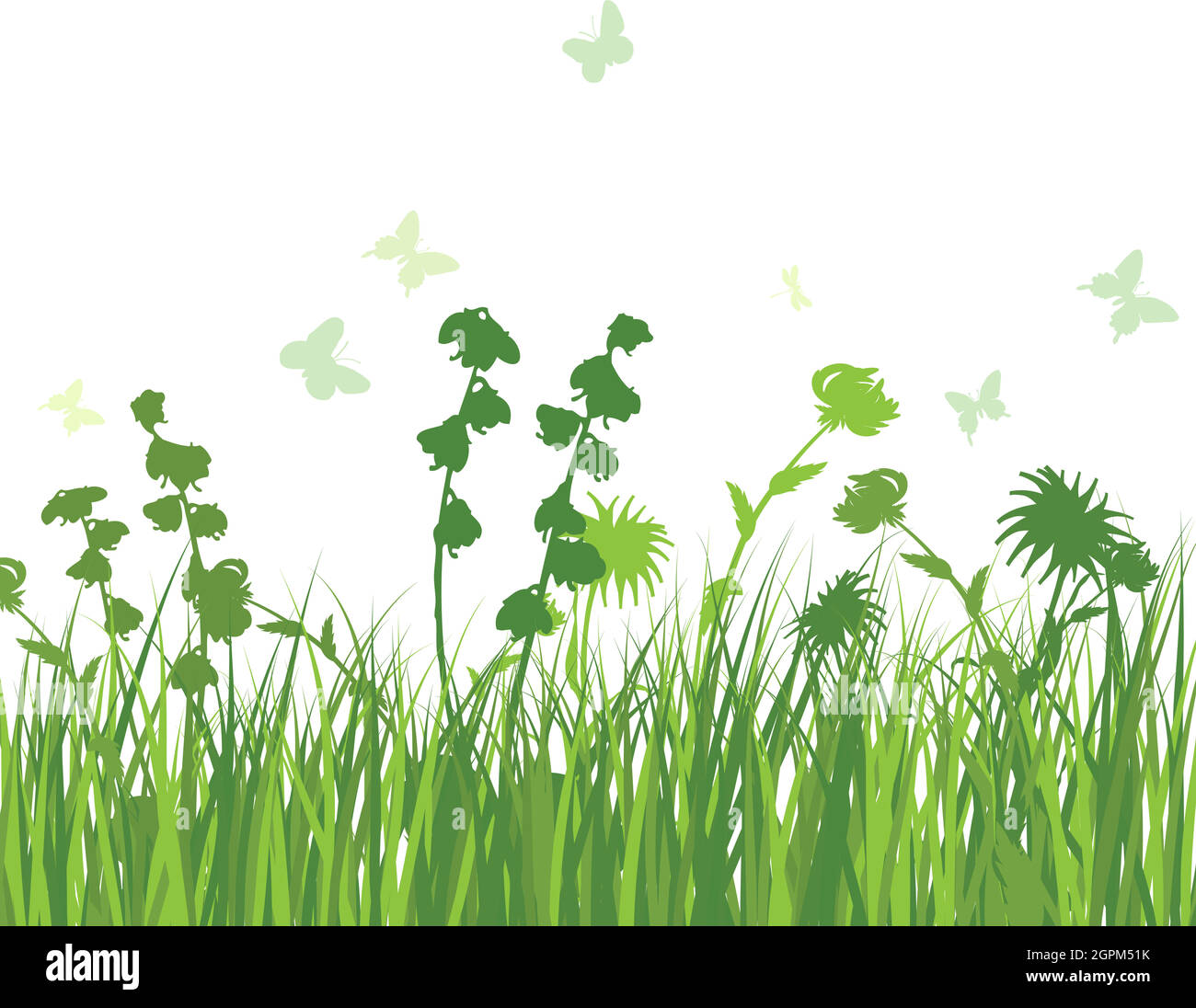 Green Grass Meadow Stock Vector Image & Art - Alamy