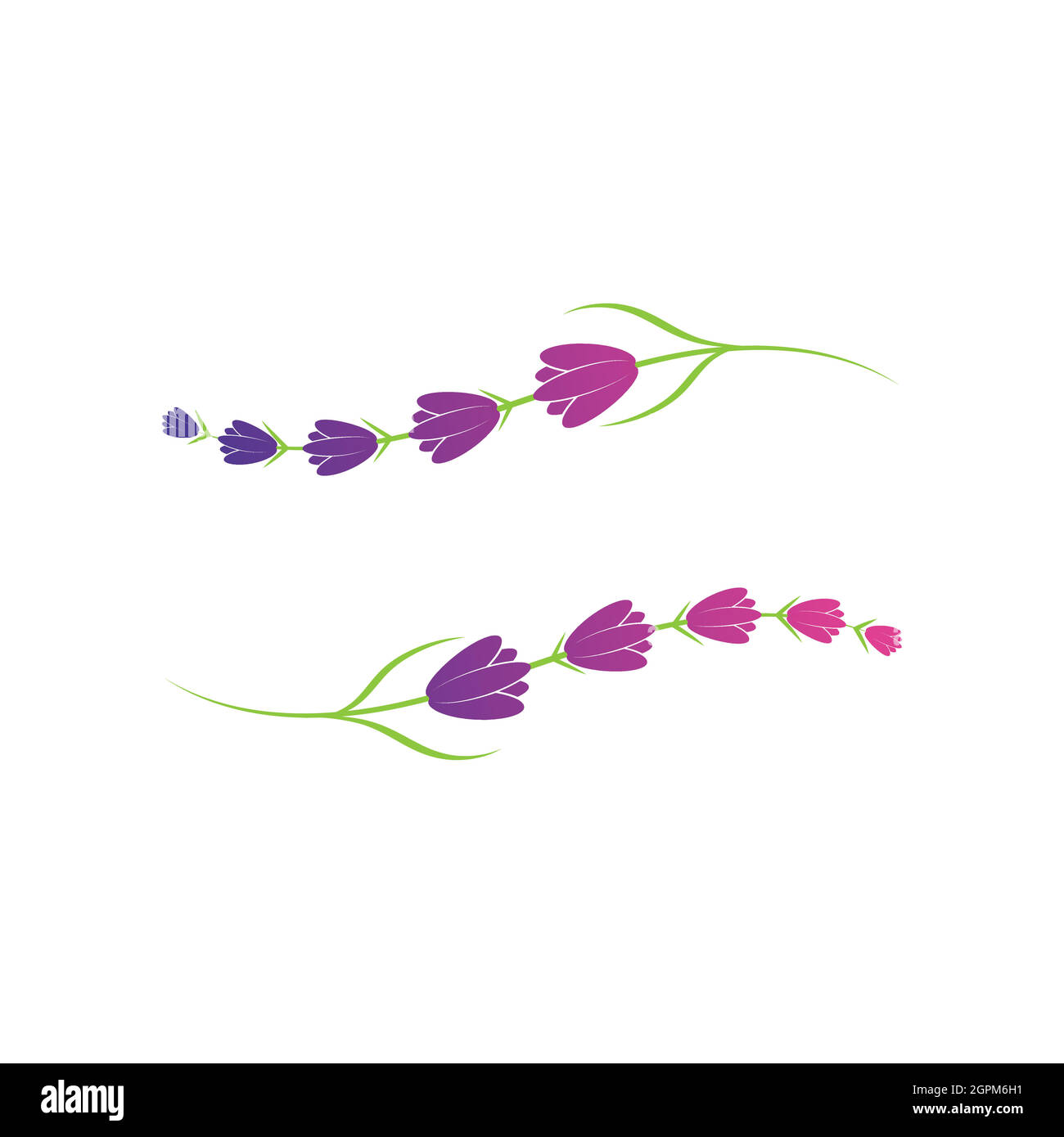 Lavender flower logo symbol template Stock Vector