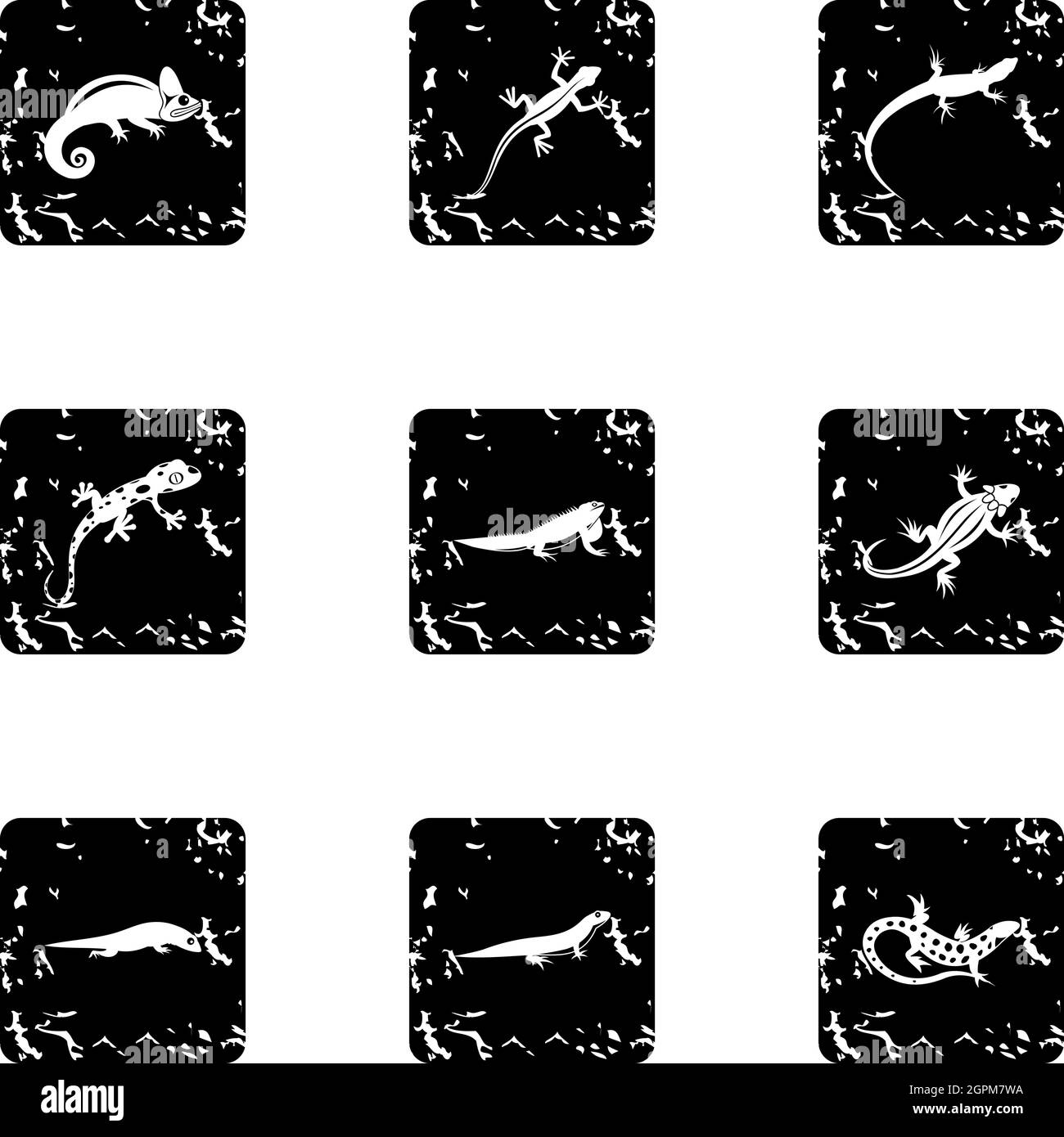 Agama lizard drawing hi-res stock photography and images - Alamy