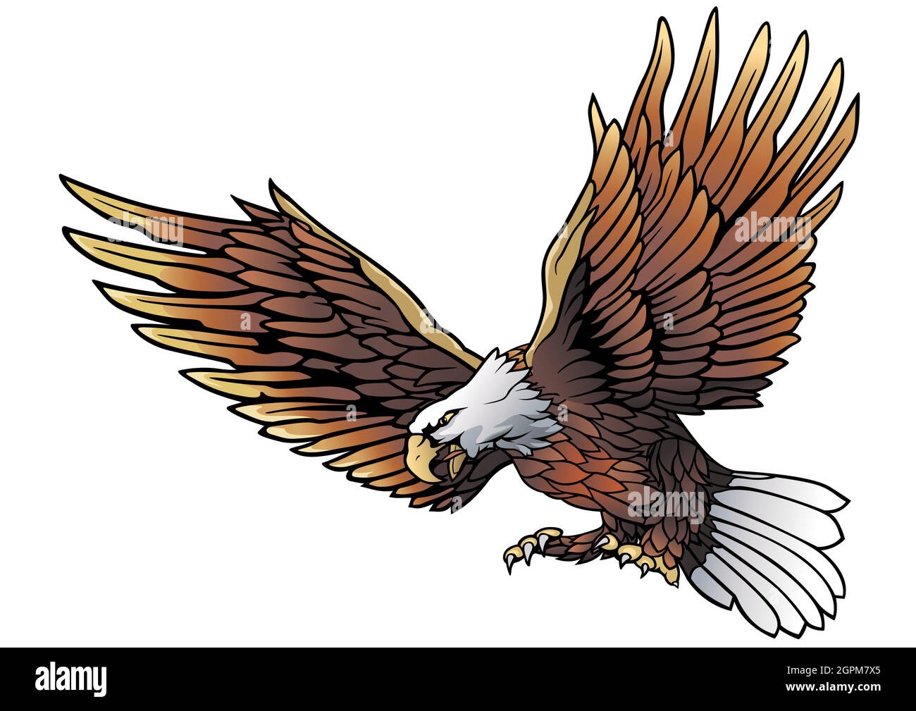Flying Bald Eagle Illustration Stock Vector
