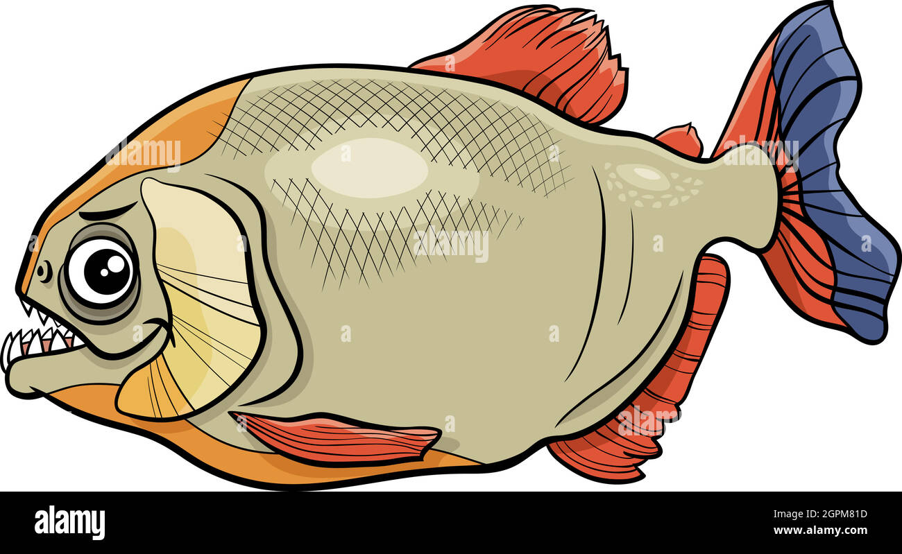 cartoon piranha fish animal character Stock Vector