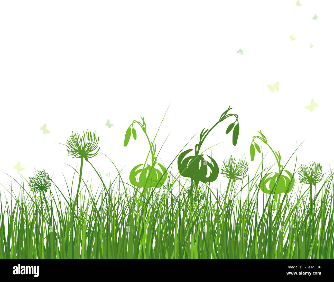 Green Grass Meadow Stock Vector Image & Art - Alamy