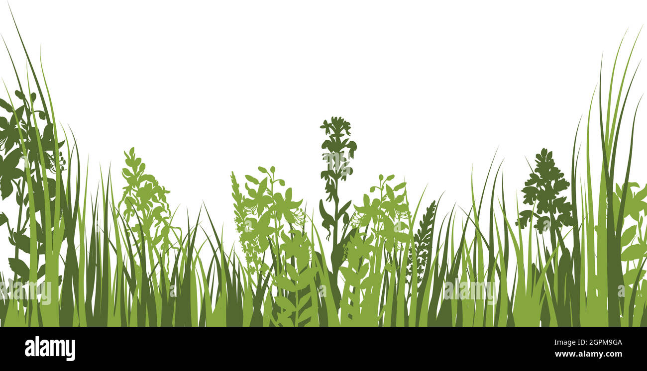 Green Grass Meadow Stock Vector Image & Art - Alamy