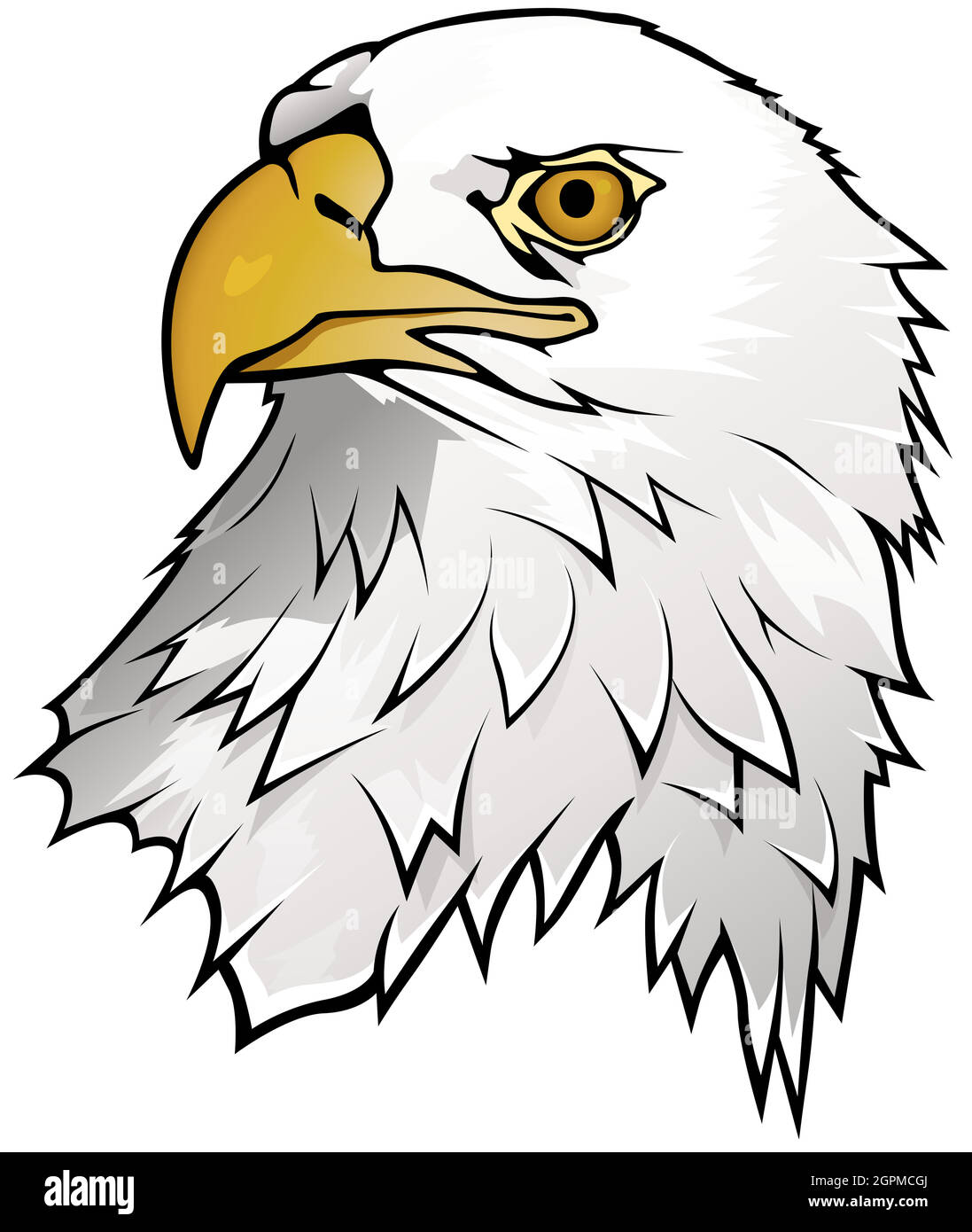 Bald Eagle Portrait Illustration Stock Vector