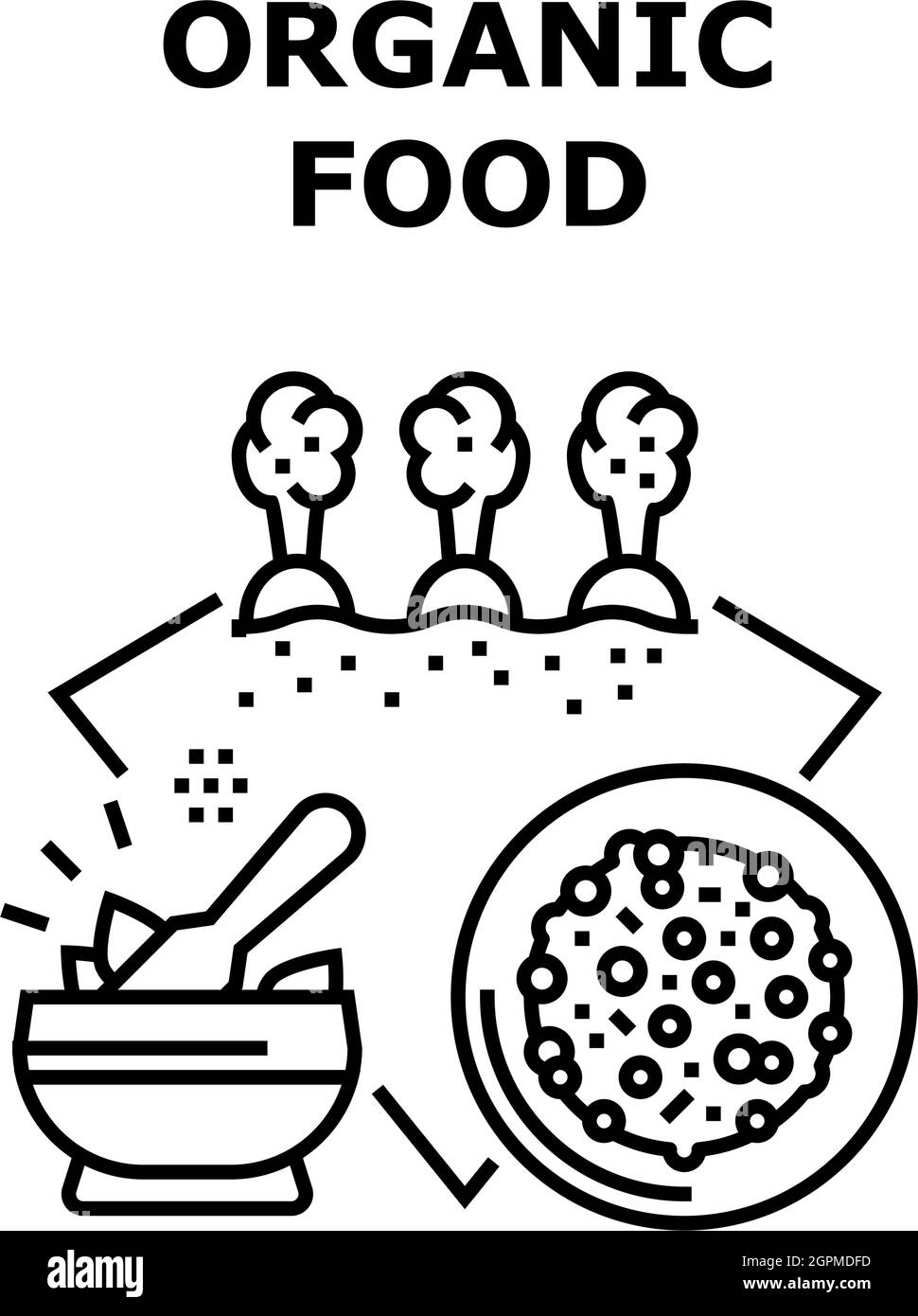 Organic Food Vector Concept Color Illustration Stock Vector Image & Art ...