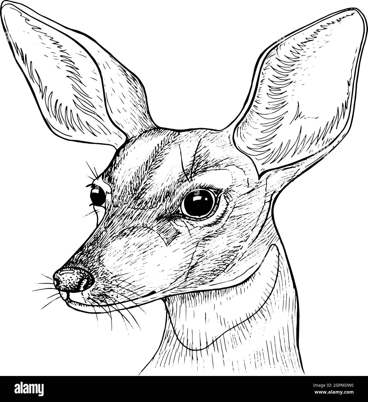 Animal Heads Stock Illustration  Download Image Now  Animal Head Icon  Animal  iStock