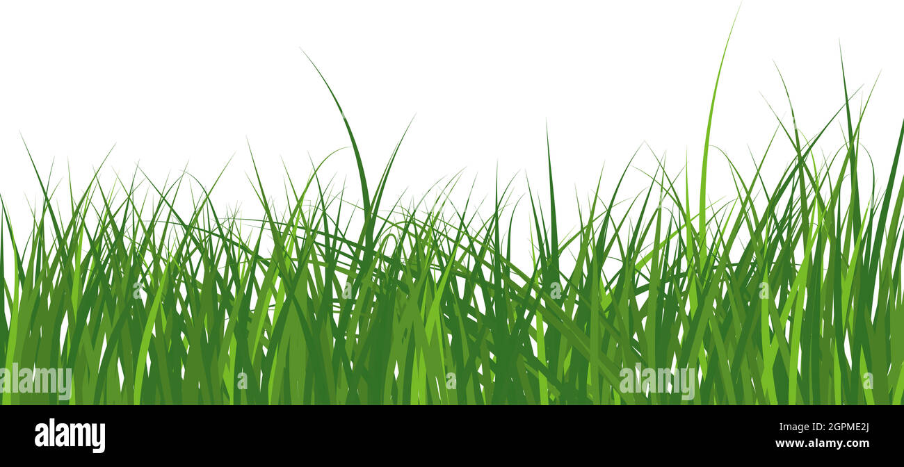 Green Grass Meadow Stock Vector Image & Art - Alamy