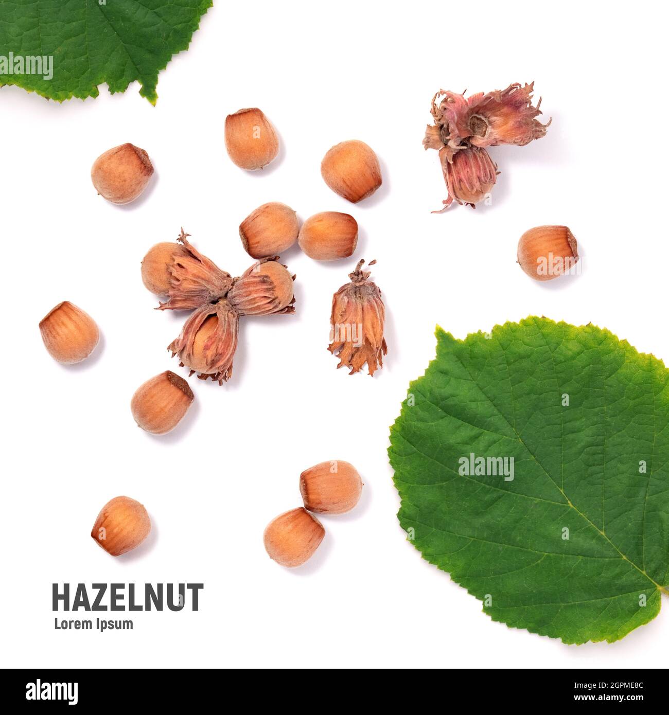 Hazelnuts with green leaves, isolated on white background. Stock Photo