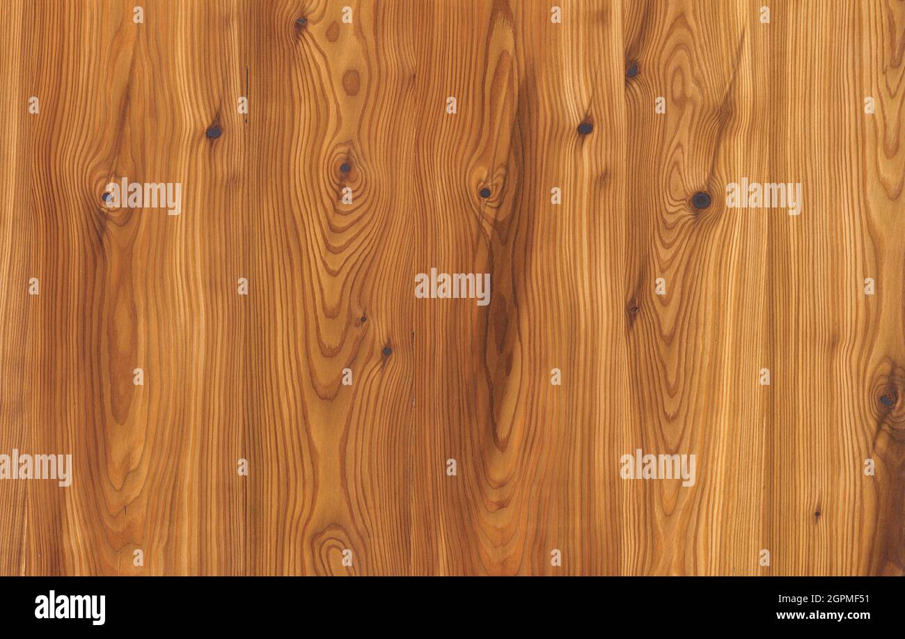 Natural wood texture and surface with high resolution for furniture