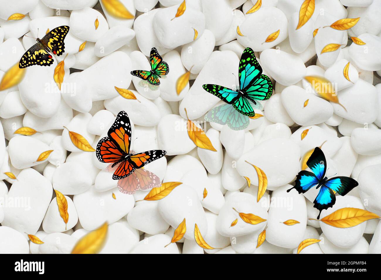 Butterfly Wallpaper 3D APK for Android Download