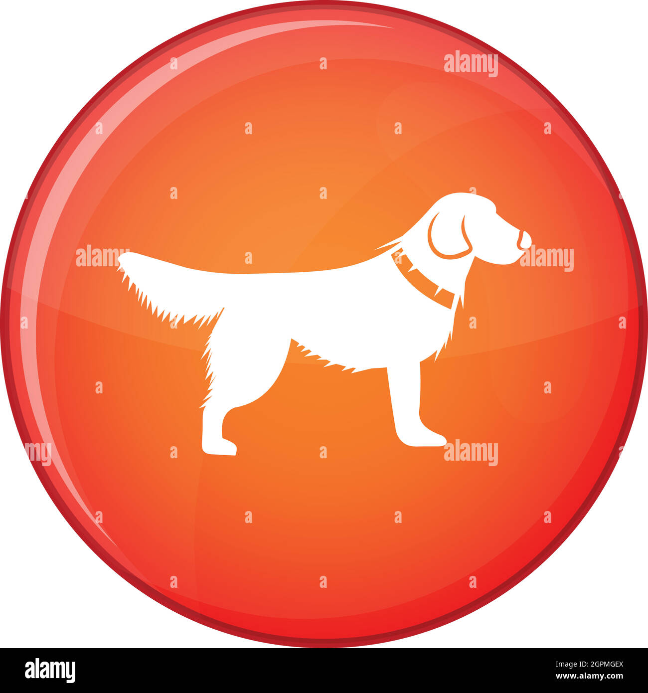 Flat Dog High Resolution Stock Photography and Images - Alamy