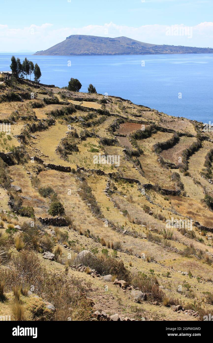 Terraced Fields On Taquile Island, Lake Titicaca Stock Photo
