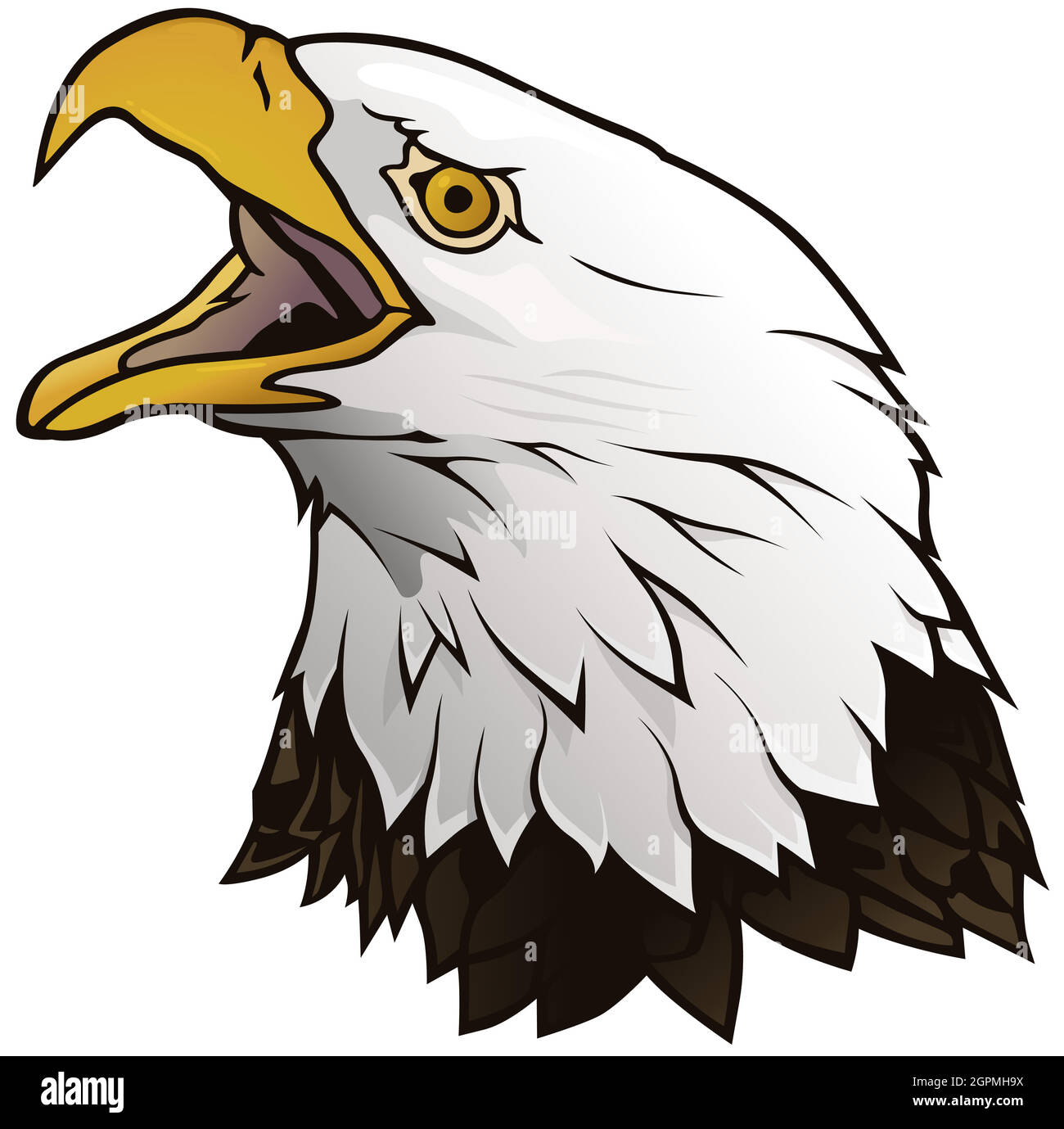 Bald Eagle Portrait Illustration Stock Vector