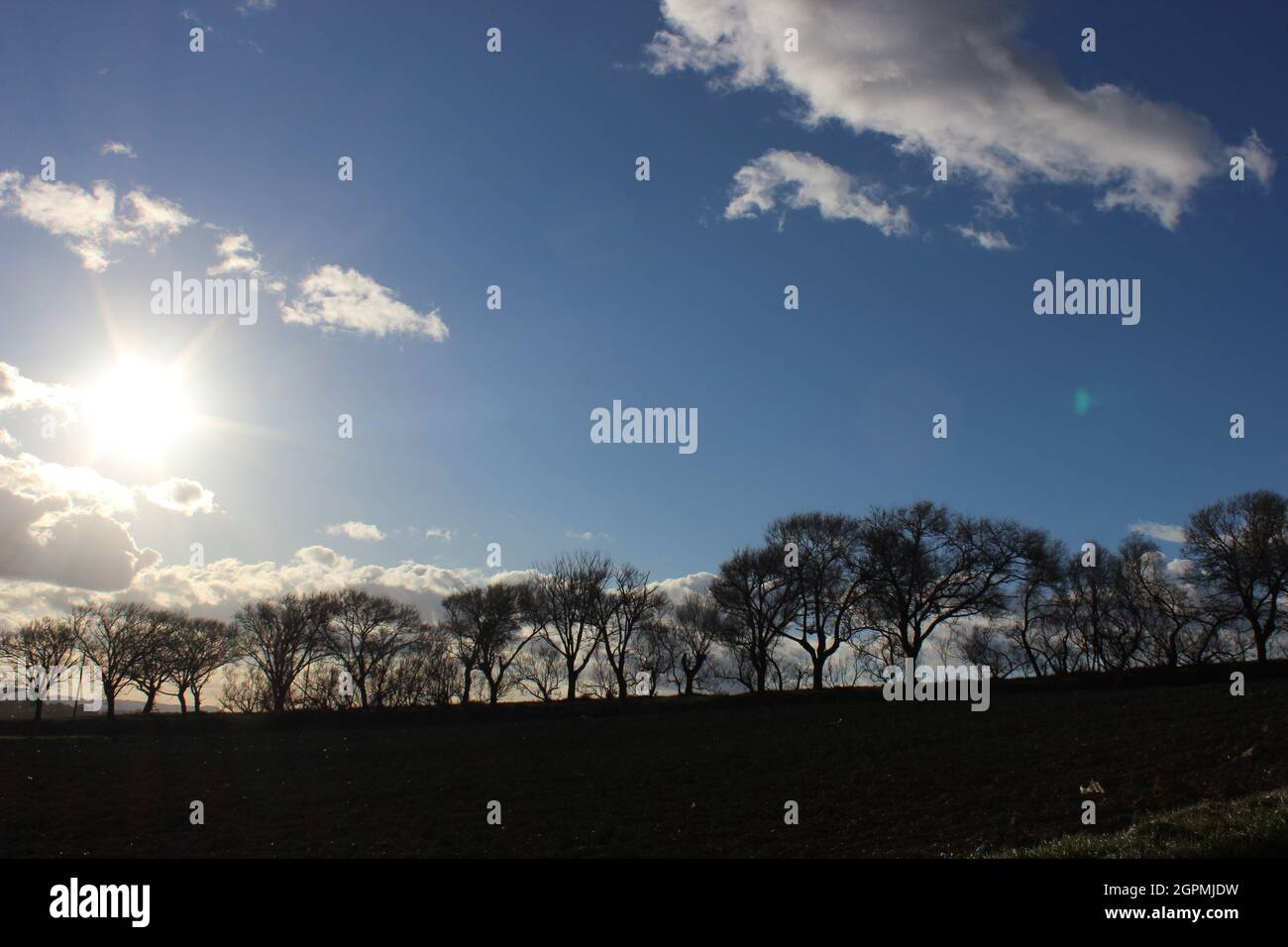 Forma Alba High Resolution Stock Photography and Images - Alamy