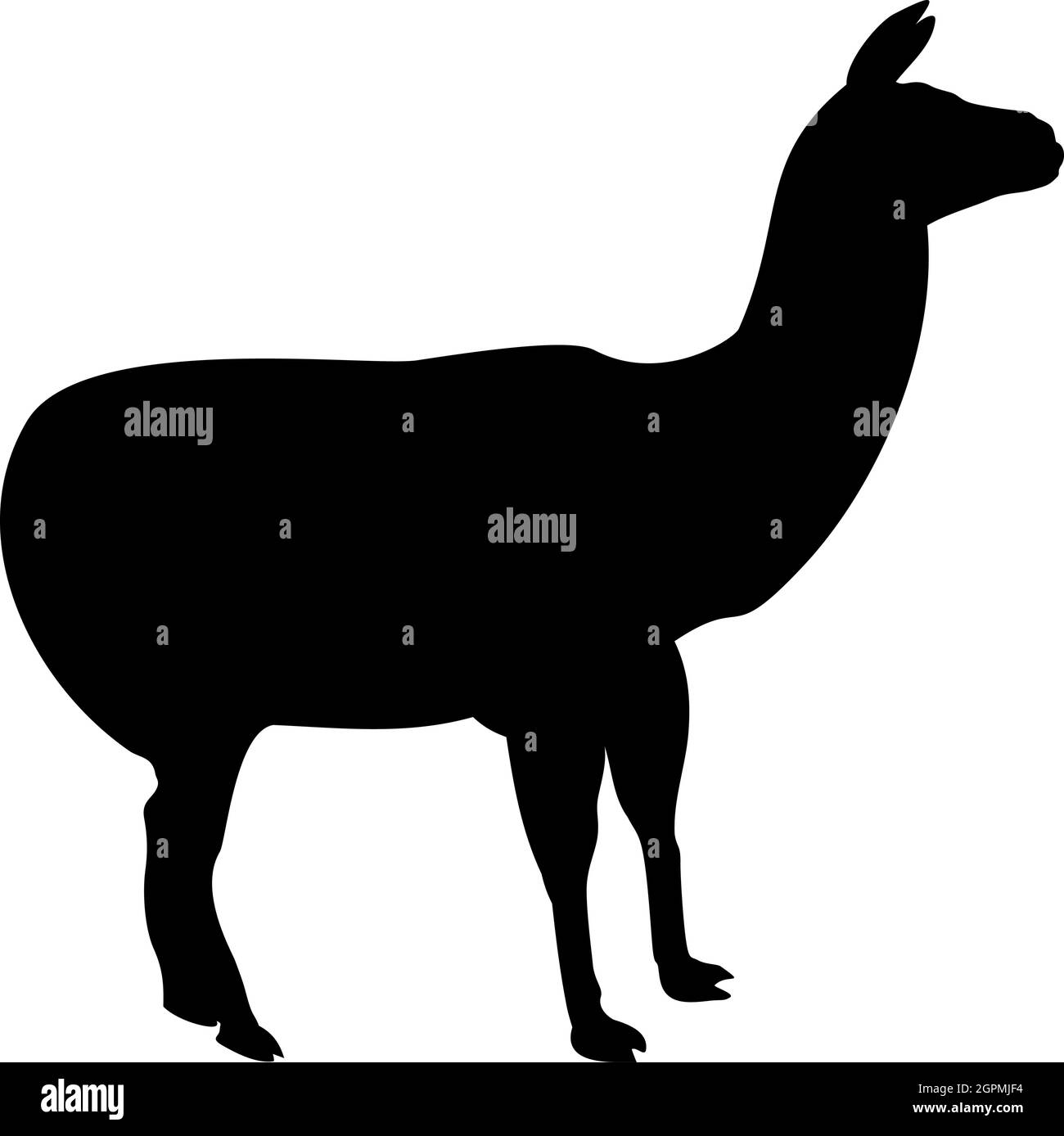 Silhouette alpaca llama lama guanaco black color vector illustration flat style image Stock Vector