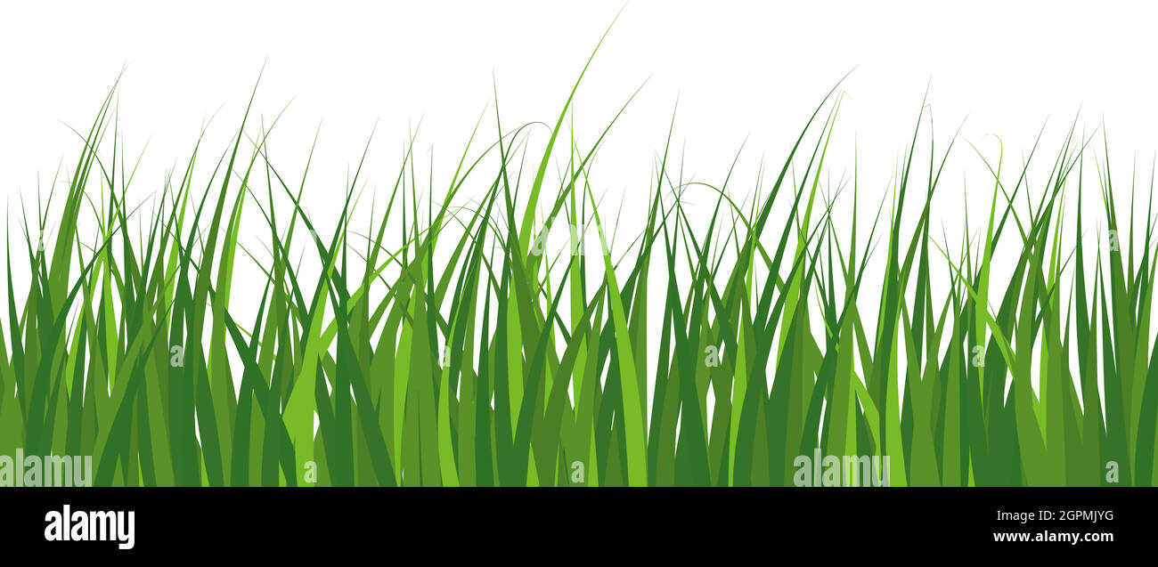 Green Grass Meadow Stock Vector Image & Art - Alamy