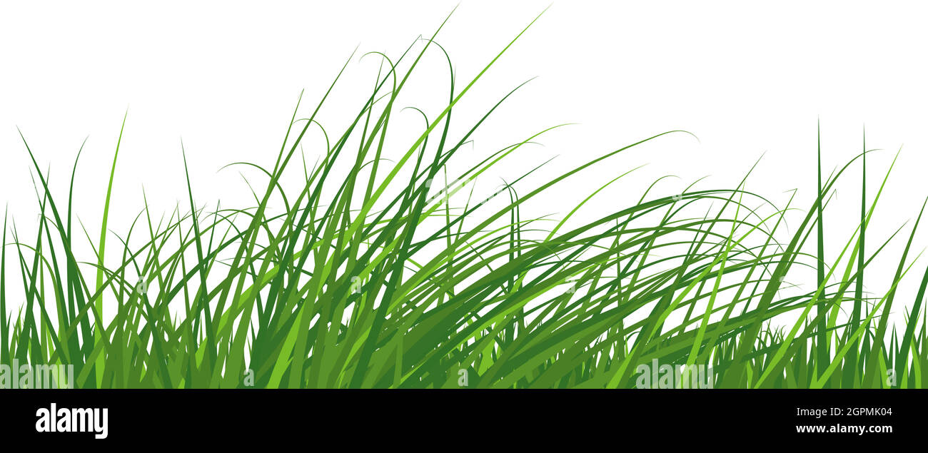 Green Grass Meadow Stock Vector Image & Art - Alamy