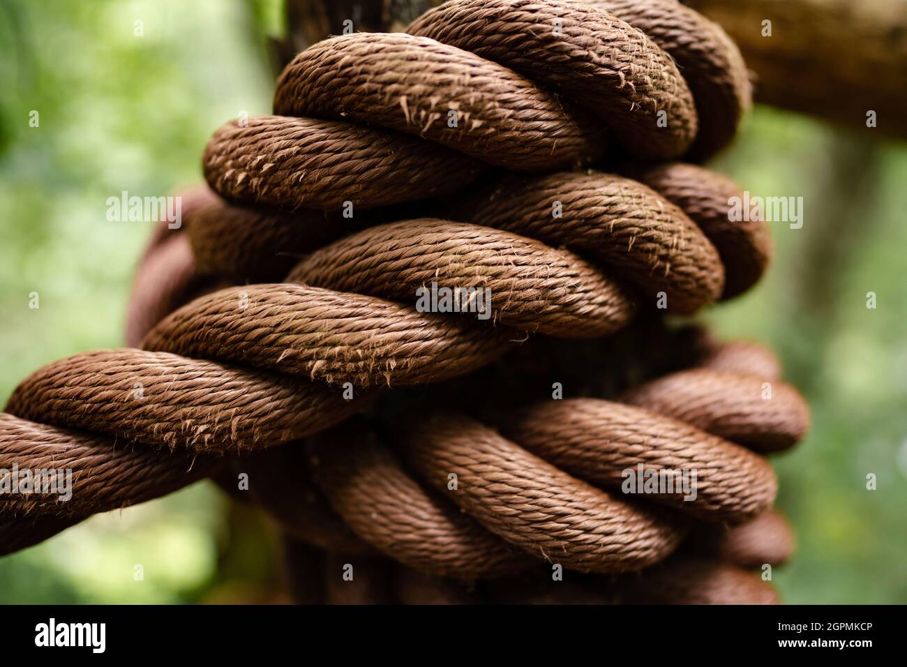 Fence detail wooden pole rope hi-res stock photography and images - Alamy