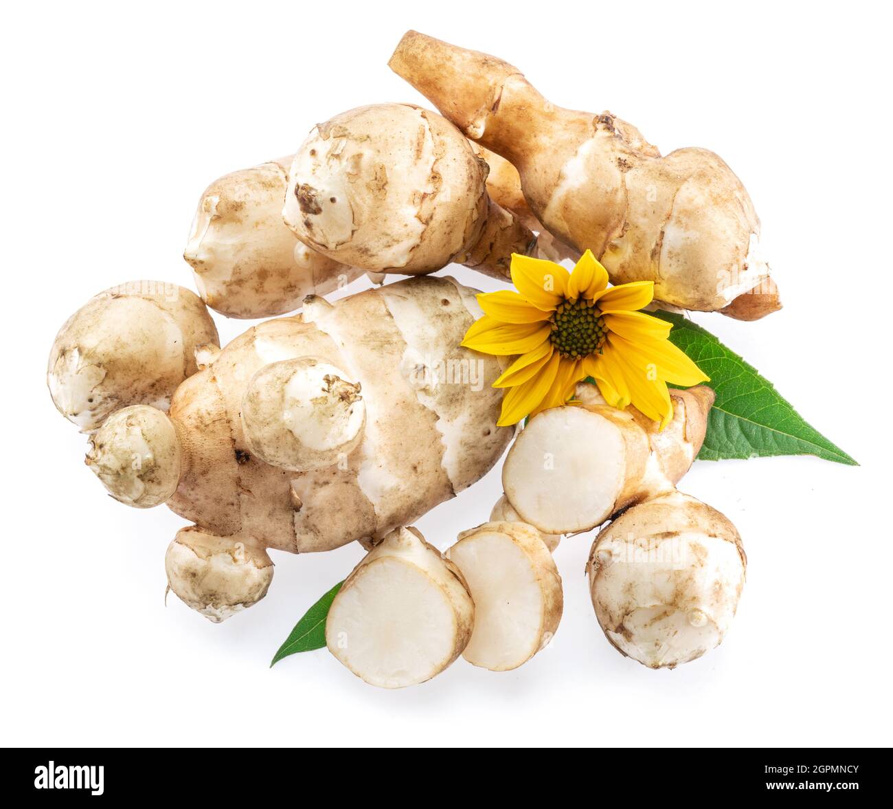 Jerusalem artichoke roots with leaves and flower of Jerusalem artichoke