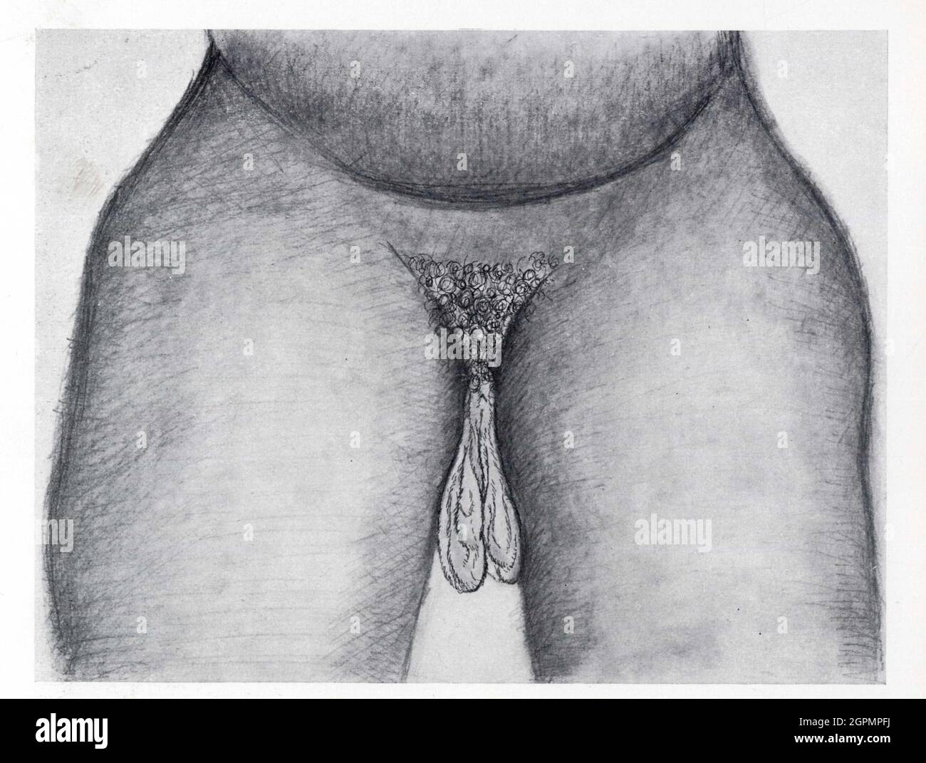 Meksika porno kasting