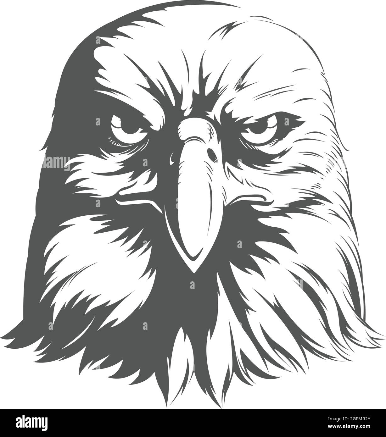 Eagle Falcon Hawk Head Front View Silhouette Black Illustration Stock