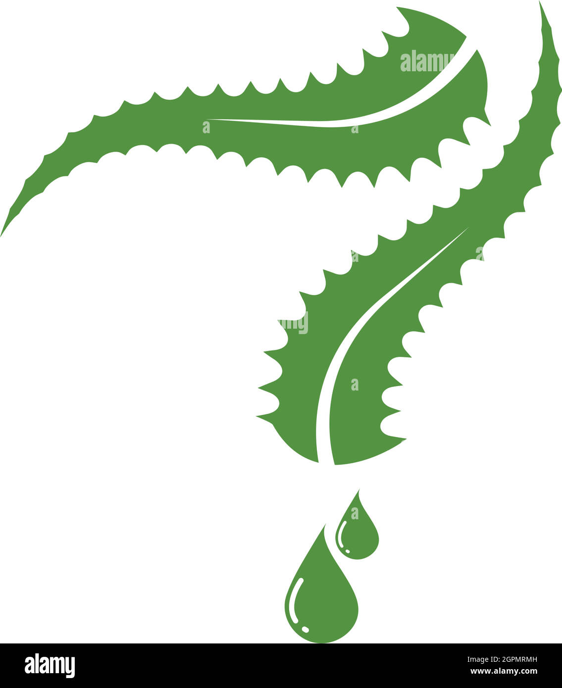 aloevera logo icon vector illustration design Stock Vector