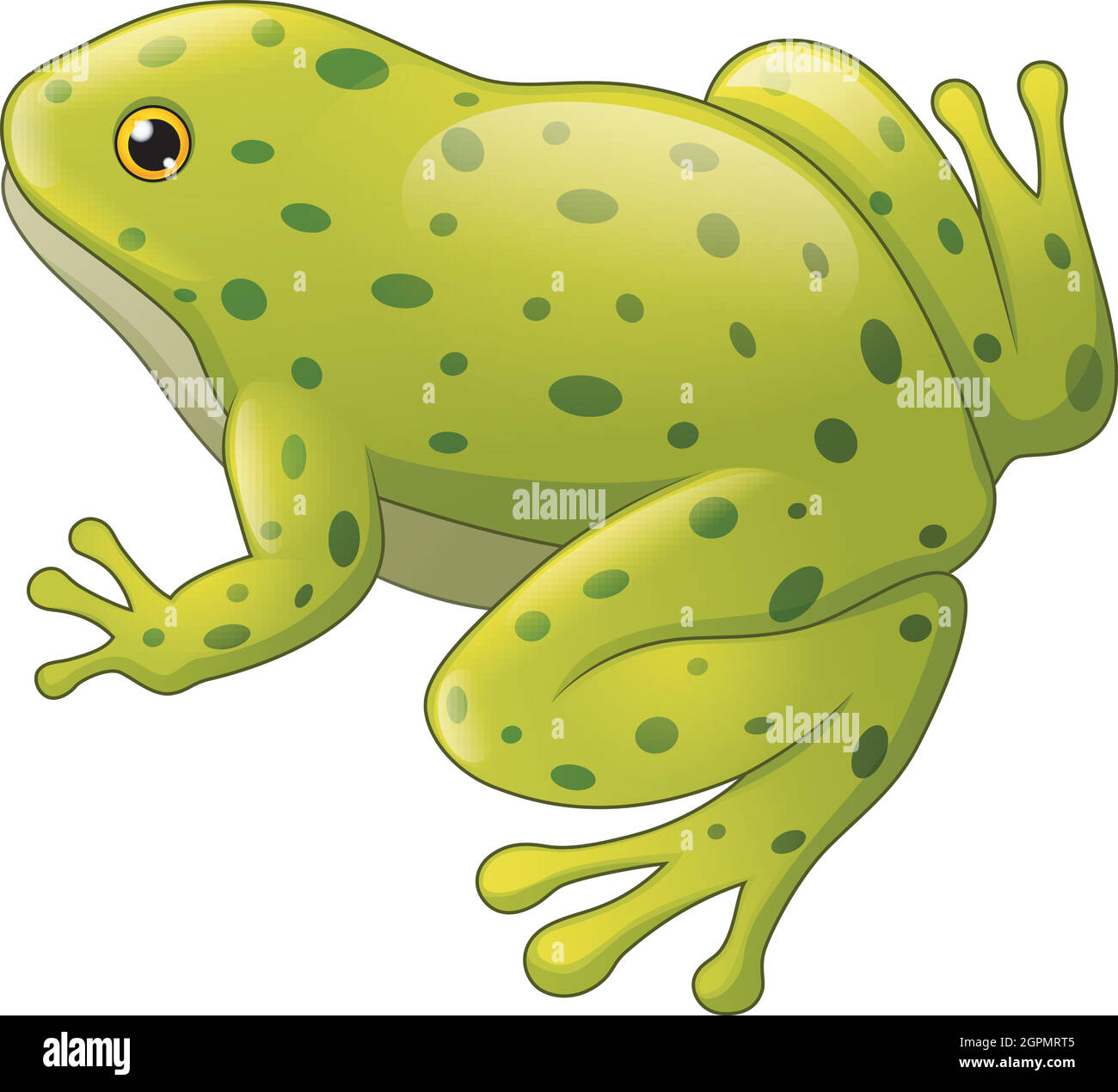 Green spotted frog isolated on white background Stock Vector