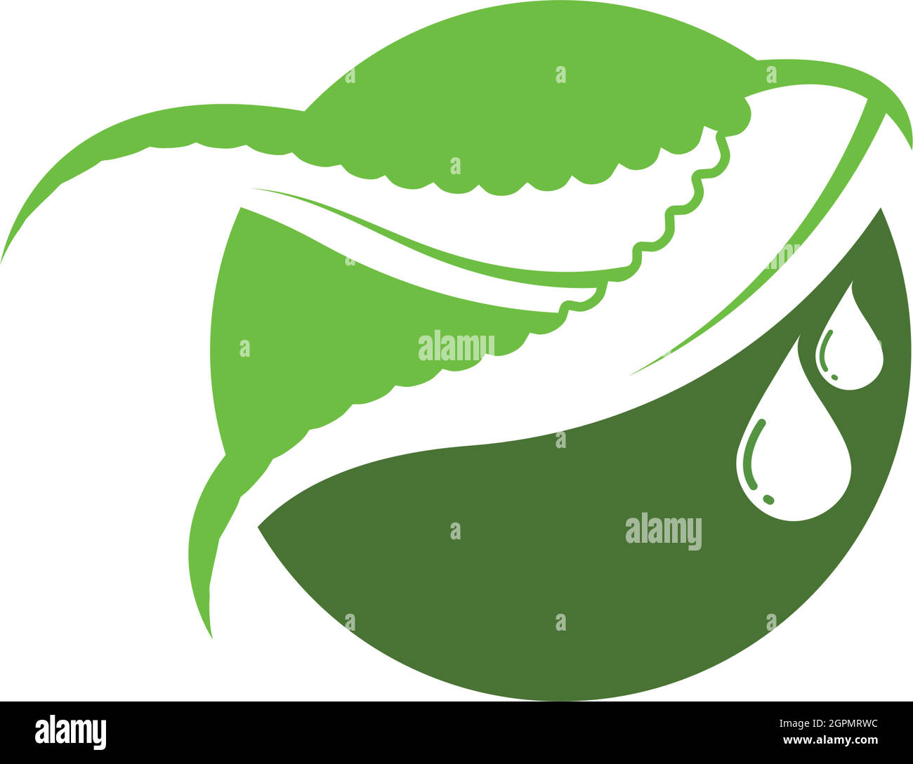 aloevera logo icon vector illustration design Stock Vector