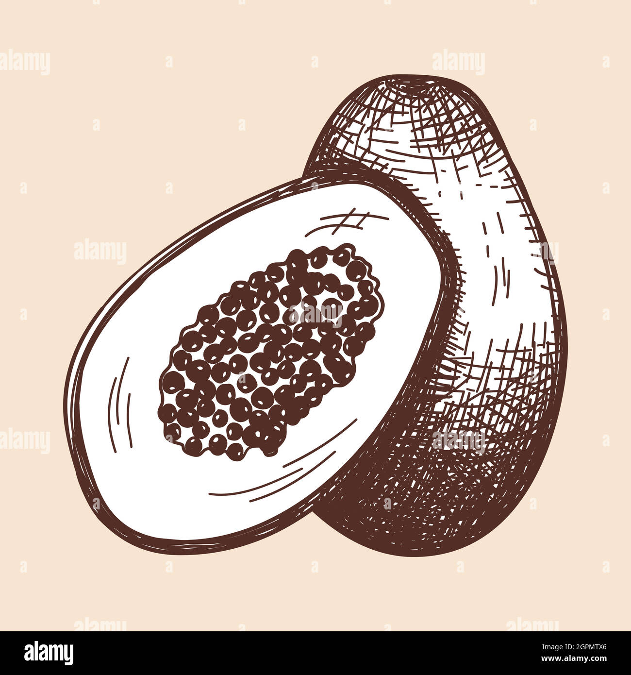 Icon Of Papaya Stock Vector