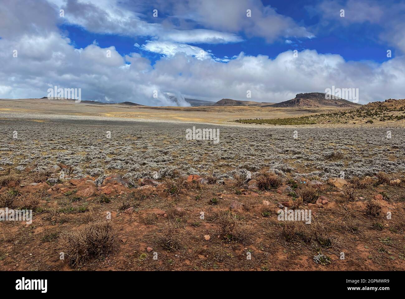 Bale mountains – beautiful unique mountain landscape from Ethiopean Great Rift Valley, Ethiopia. Stock Photo