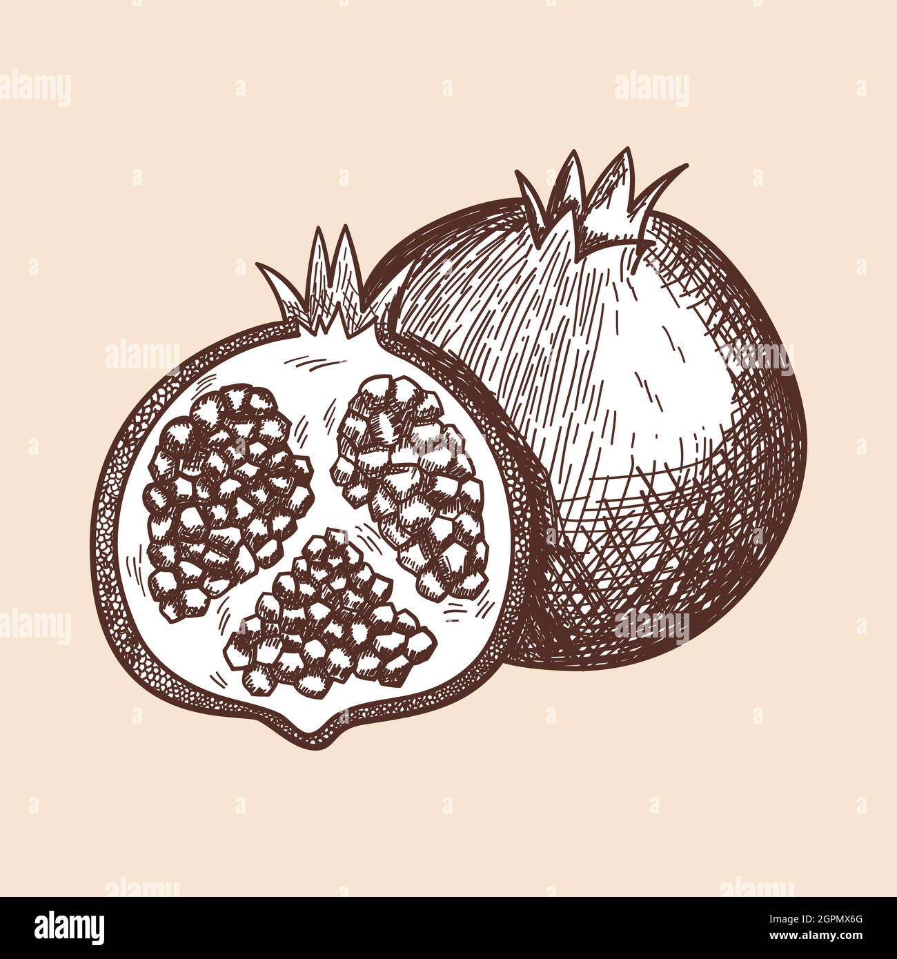 Icon Of Pomegranate Stock Vector