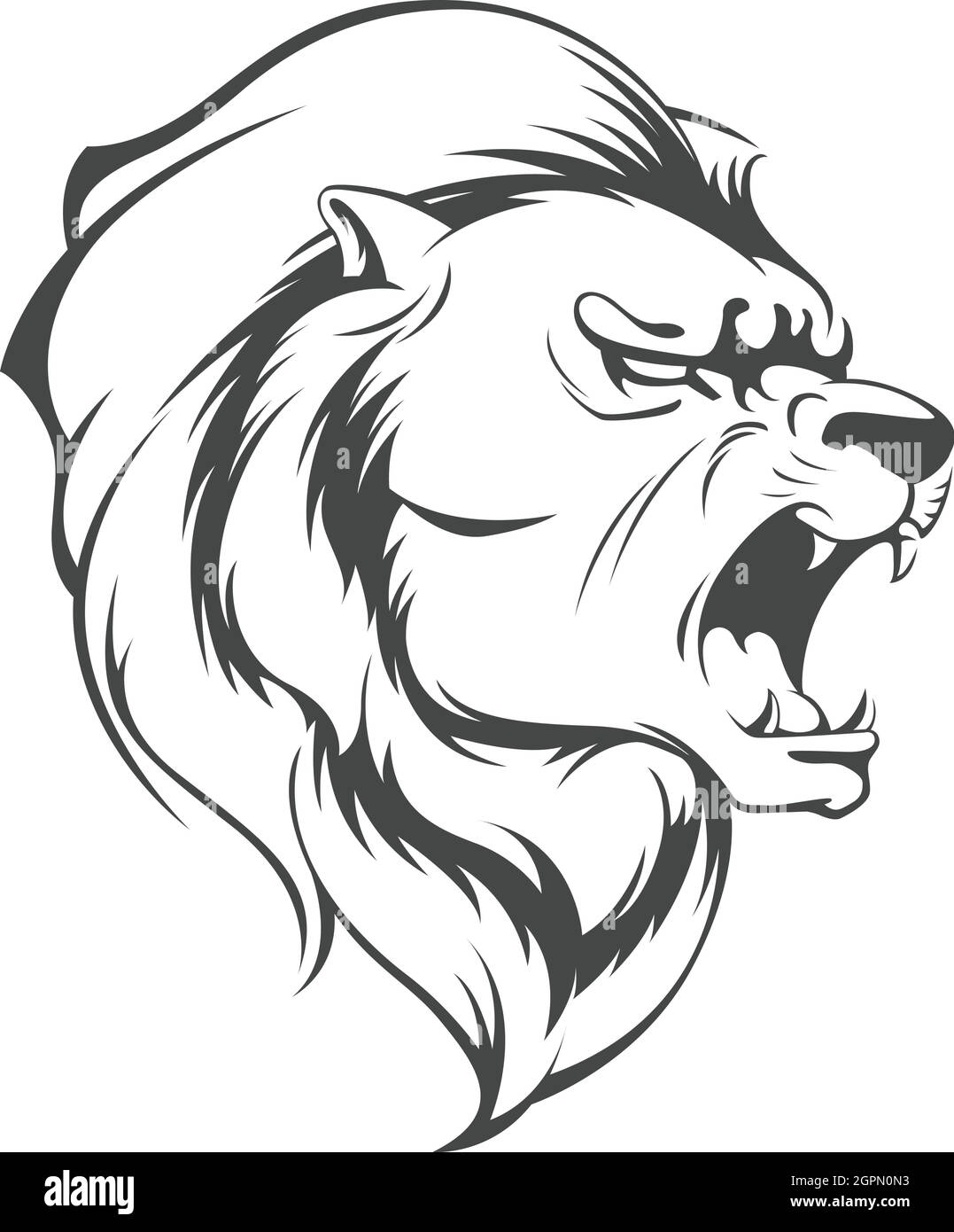 Angry lion drawing Black and White Stock Photos & Images - Alamy
