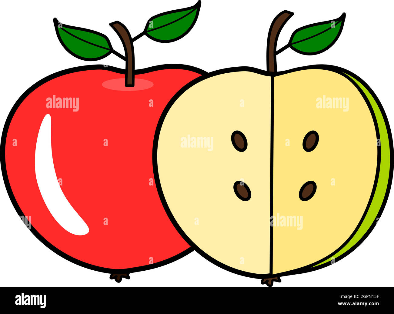 One and a half apples Stock Vector
