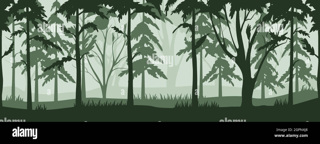 Silhouette magical misty forest. Stock Vector