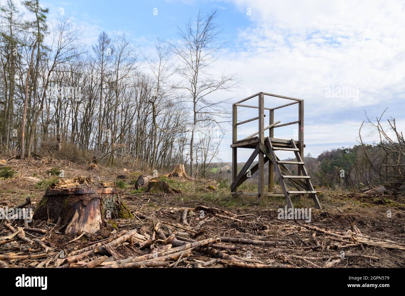 Simple wooden raised hide with ladder for hunting and observation of wildlife near a forest in Westerwald, Rheinland-Palatinate, Germany, Europe Stock Photo