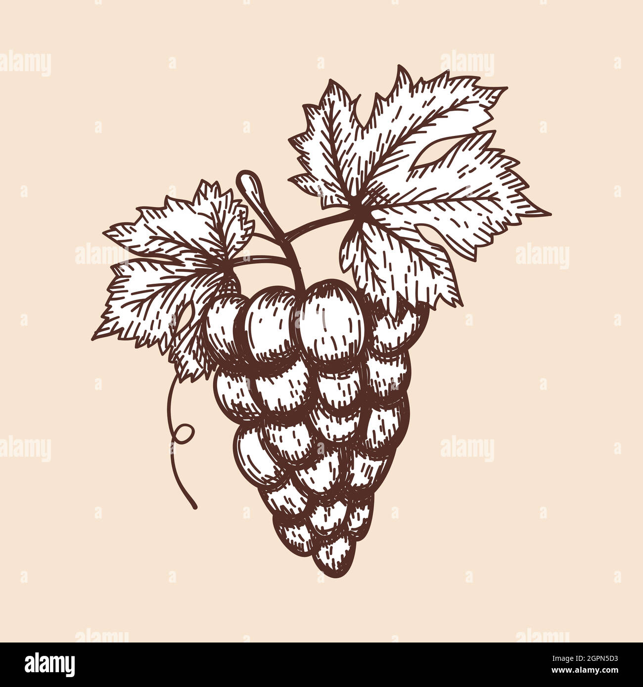 Icon Of Grape Stock Vector