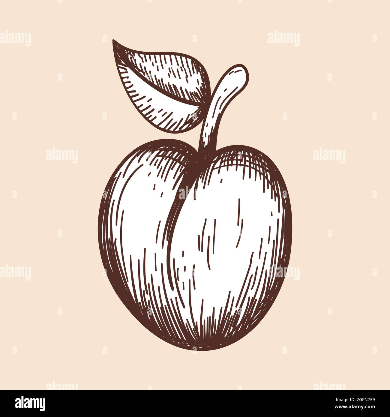 Icon Of Plum Stock Vector