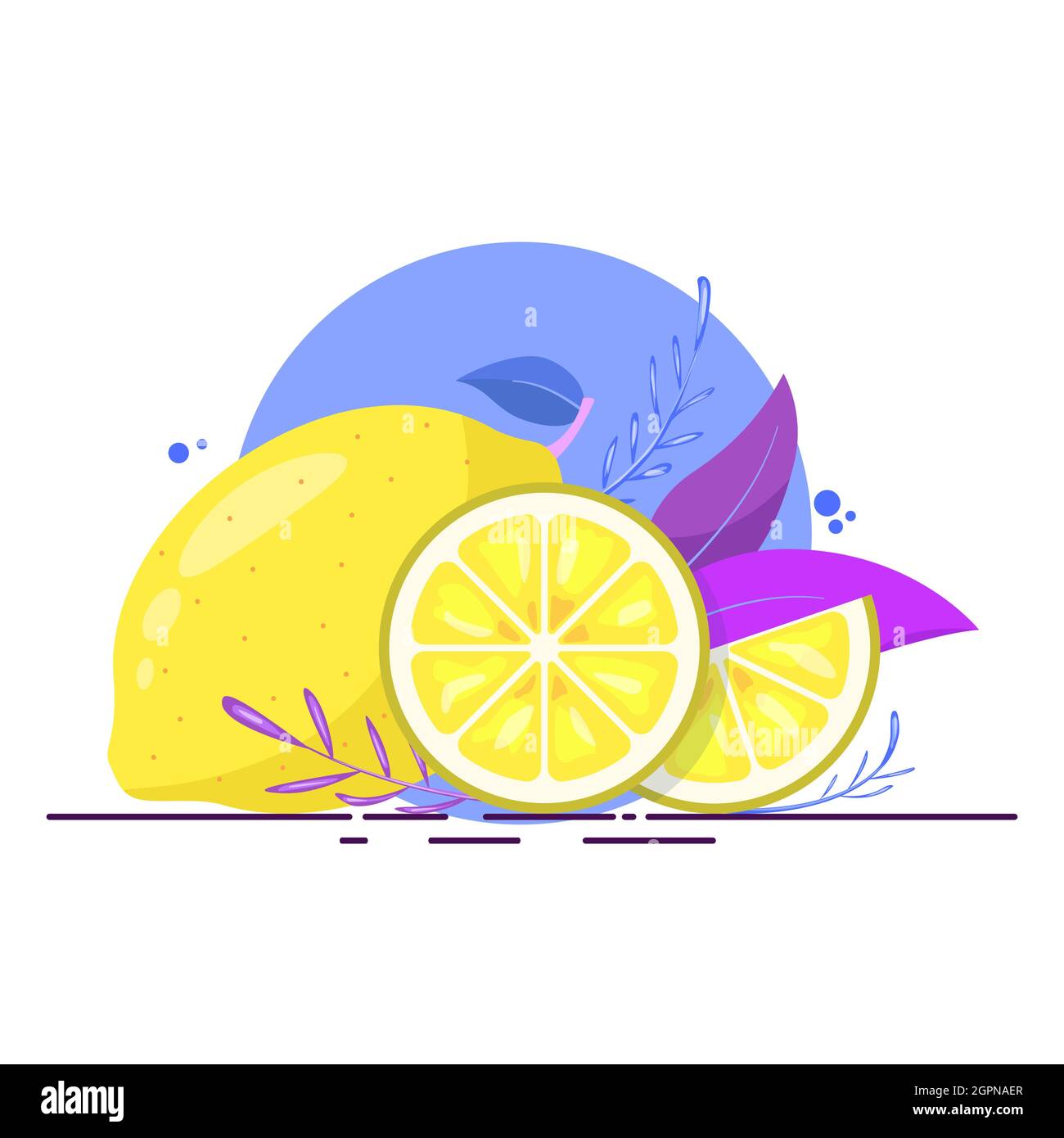 Lemon slices with leaves. Whole lime and cut pieces Stock Vector Image ...