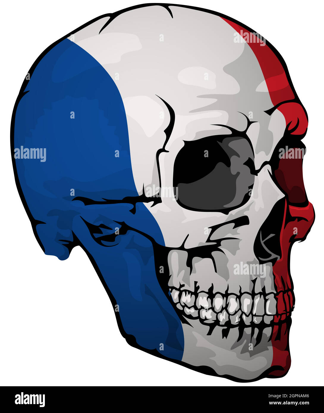 French Flag Painted on a Skull Stock Vector