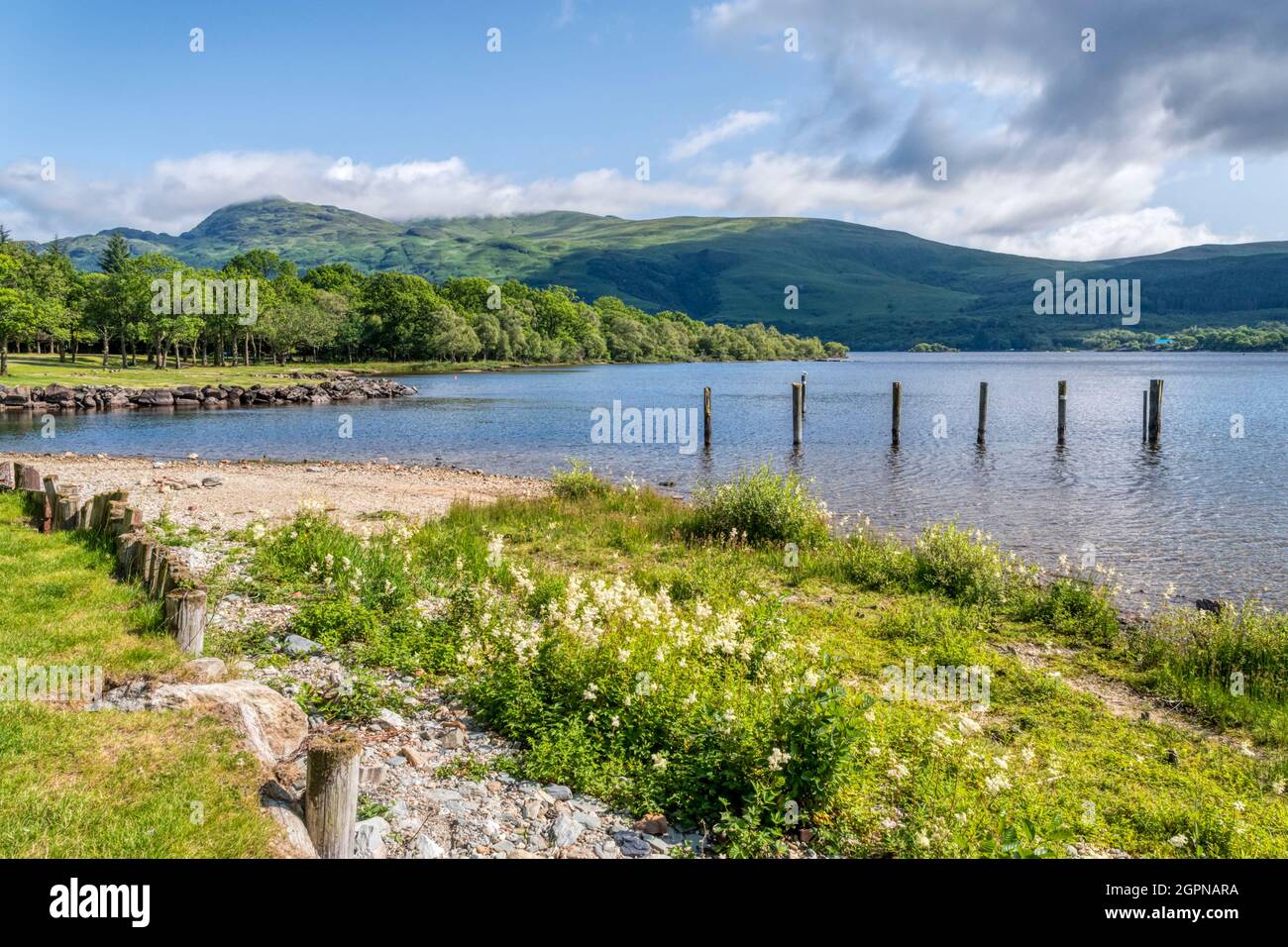 Ben Lomond seen from the shore of Loch Lomond at Inverbeg.  It is the most southerly Munro. Stock Photo