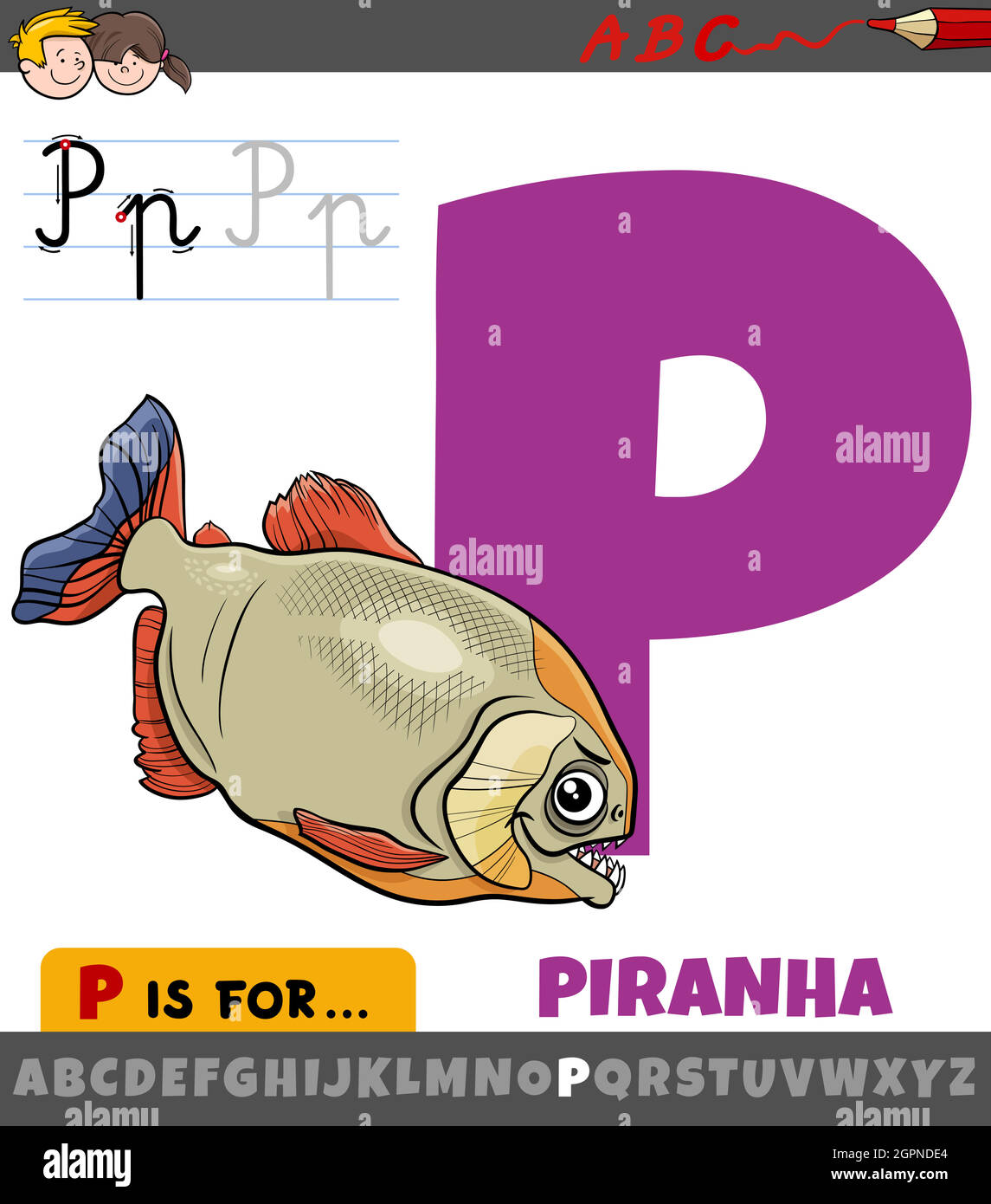 letter P from alphabet with cartoon piranha animal character Stock Vector