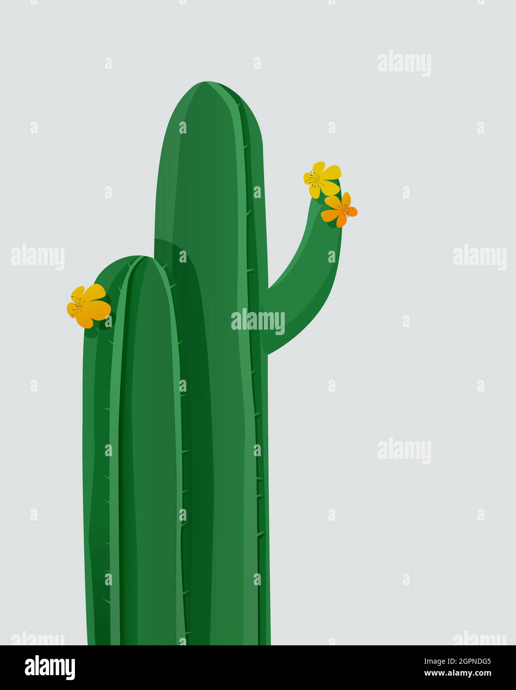 Blooming cactus Stock Vector