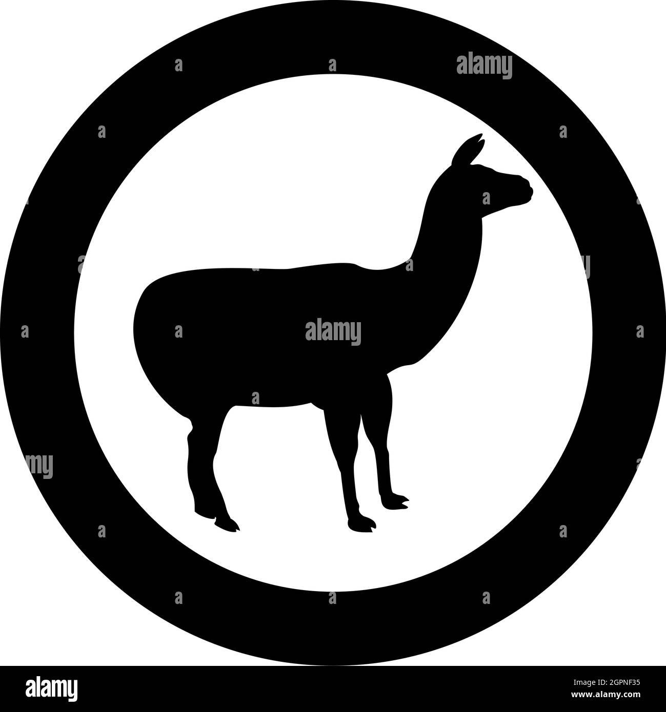Alpaca Llama Lama Guanaco silhouette in circle round black color vector illustration solid outline style image Stock Vector