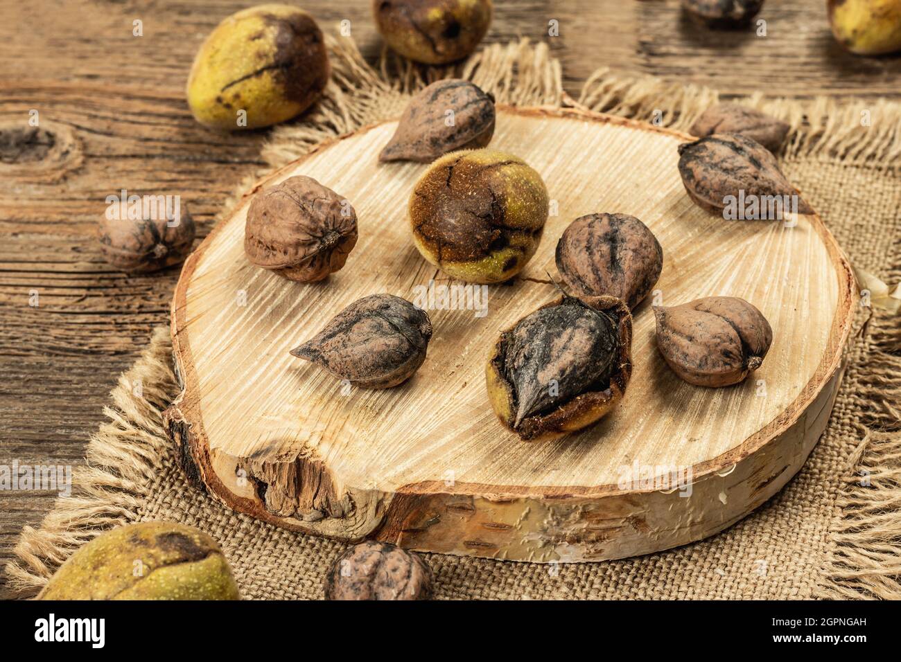 Ripe Juglans cordiformis Maxim or heart-shaped walnut. Young green and unpeeled whole nuts on a stand. Vintage wooden boards background, close up Stock Photo