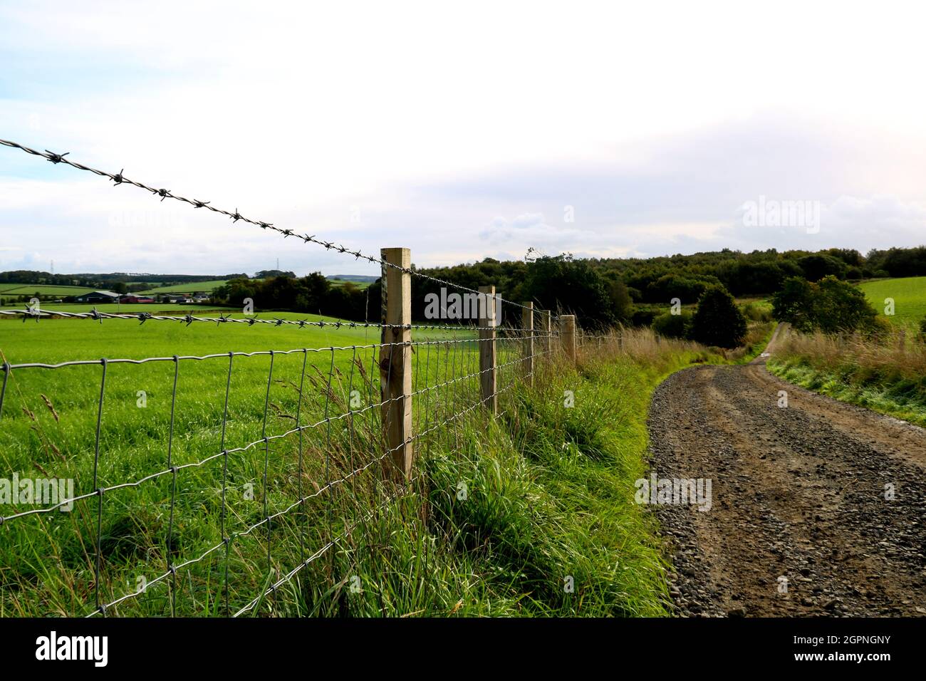 Barbed wire field fence and country lane Stock Photo Alamy